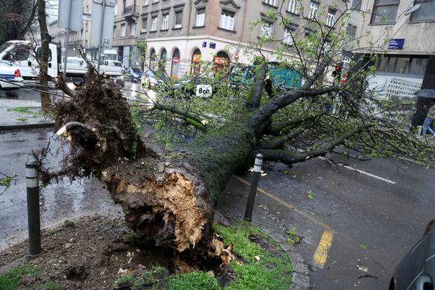 Zagreb:  Nevrijeme i jak vjetar srušili su nekoliko stabala u centru grada