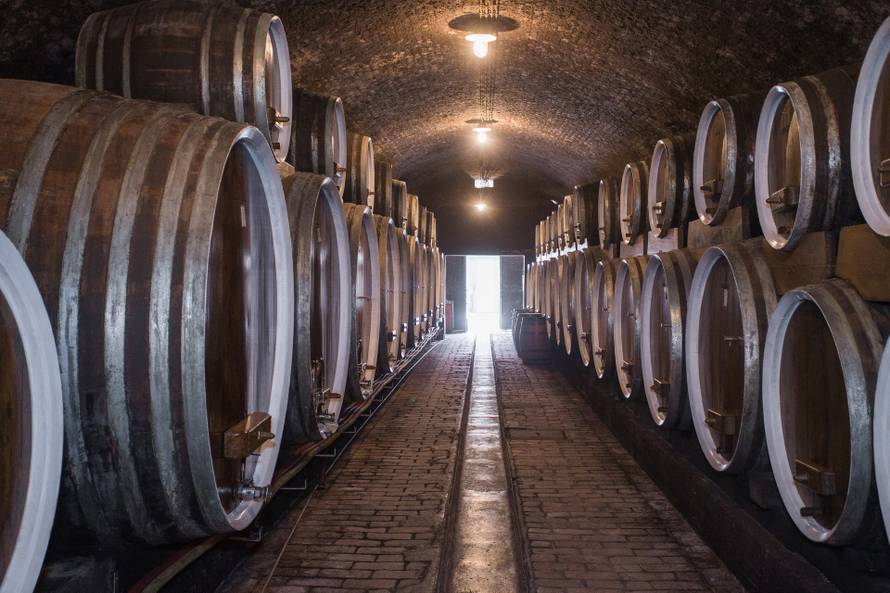 Festival traminca - vatromet okusa očekuje se na Principovcu