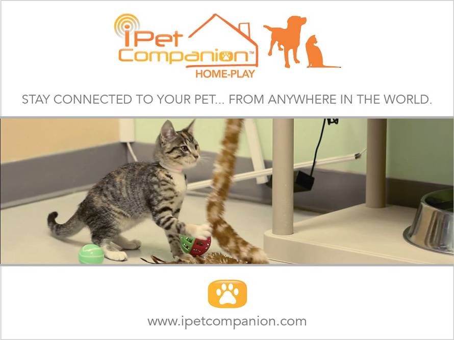 ipetcompanion.com