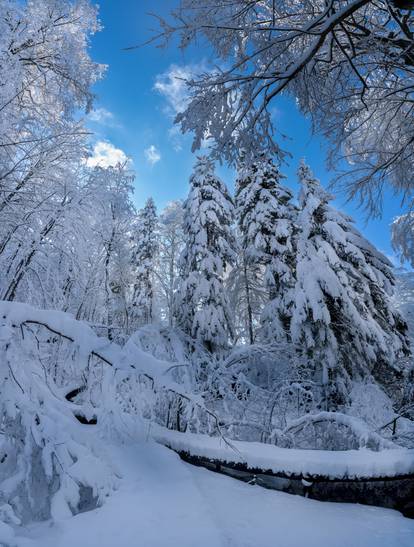 Ledeno kraljevstvo Plitvice: Inje i snijeg stvorili su pravu bajku