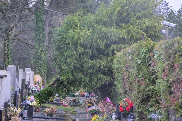 Zagreb: Teško oštećeno gradsko groblje Mirogoj