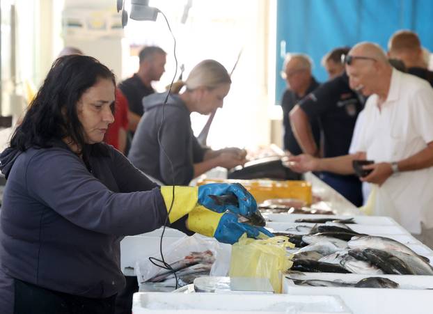 Šibenik: Ponuda ribe na ribarnici