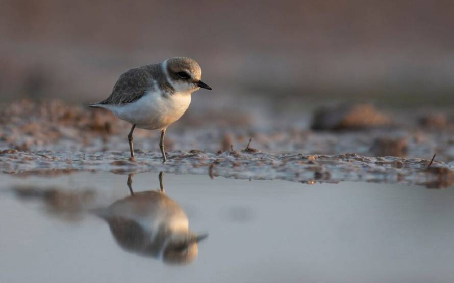 Prijavi se na foto-natječaj i pokaži nam kako Jadran izgleda kroz tvoje oči!