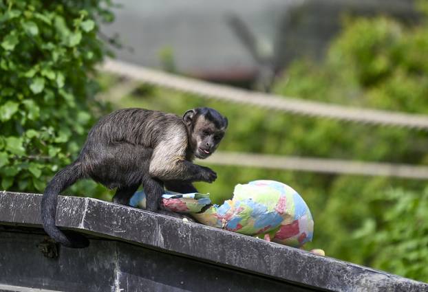 Zagreb: Podjela pisanica uz edukativni pogram za djecu u zoološkom vrtu