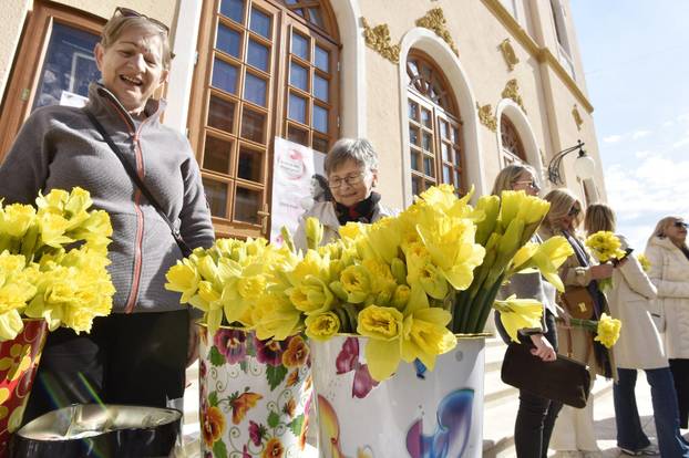 Šibenik: Liga protiv raka Šibenik obilježava Dan narcisa
