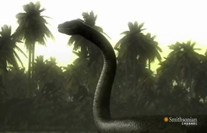 Video priča: Ovih zmija bojali su se i dinosauri! Pogledajte