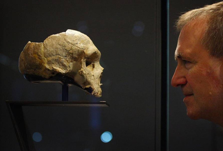 New Treasures Gallery at the Natural History Museum