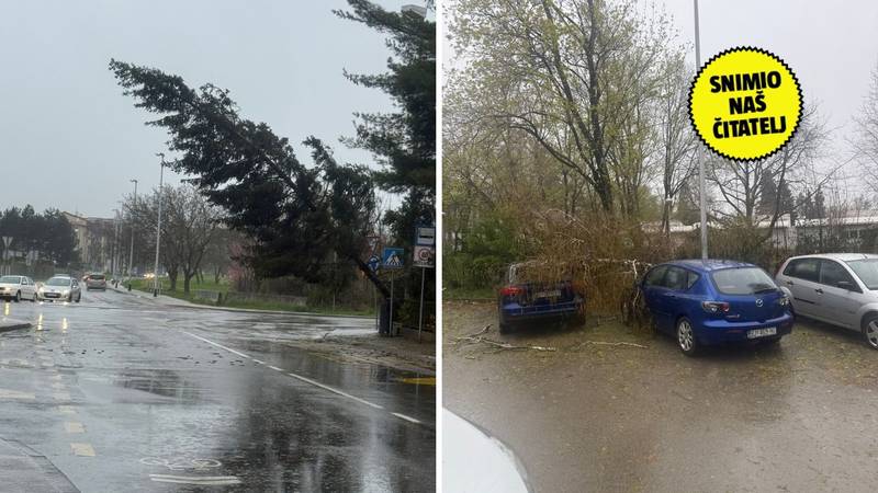 PROMETNI KOLAPS U DUBRAVI Oštećeni tramvajski vodovi, vjetar čupao stabla. Sve stoji