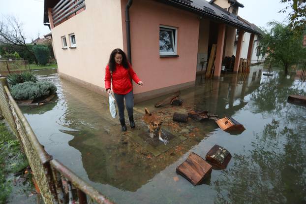 Poplavljeno naselje Brodarci uz rijeku Kupu, stanovnici spašavali  životinje 