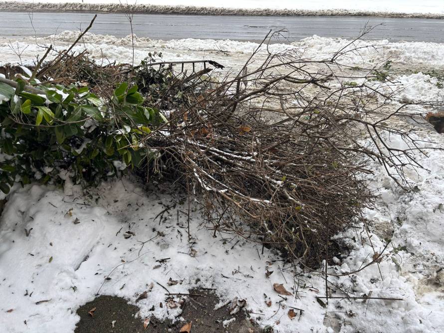 VIDEO Kaos na Branimirovoj: Kamionom je udario u kuću! 'Kuća se zatresla, kao potres'