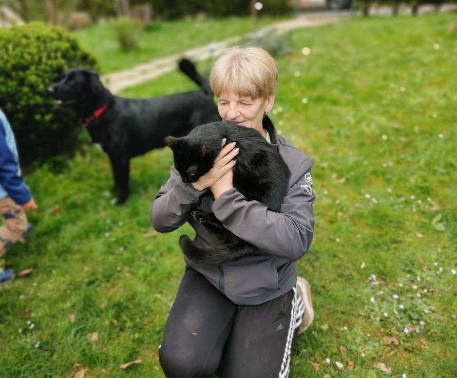 Mačak Pandi proveo je 11 dana na boru: 'Kad smo došli do njega, samo je skočio dolje...'