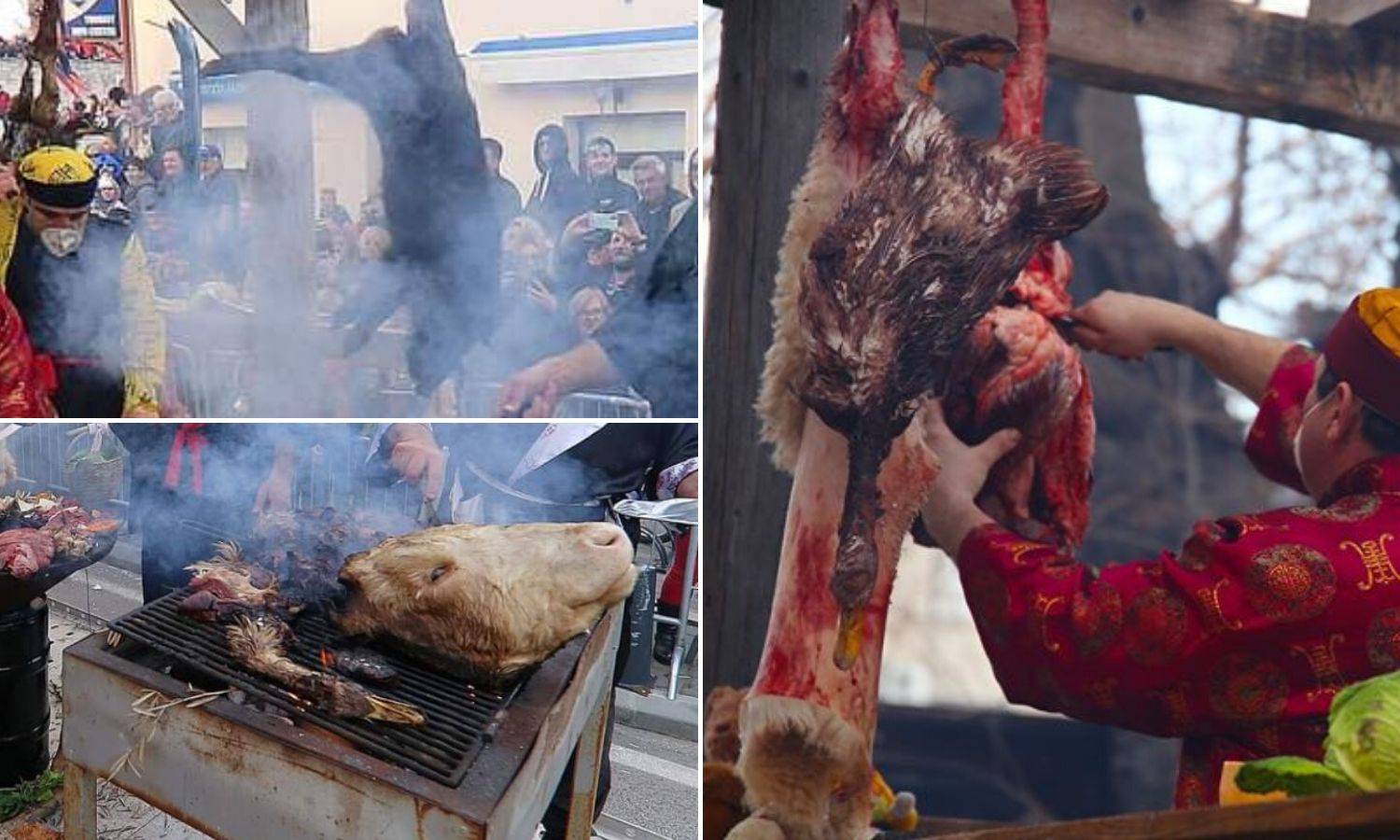 Krvavi karneval na Murteru:  Derali su životinje na rivi...