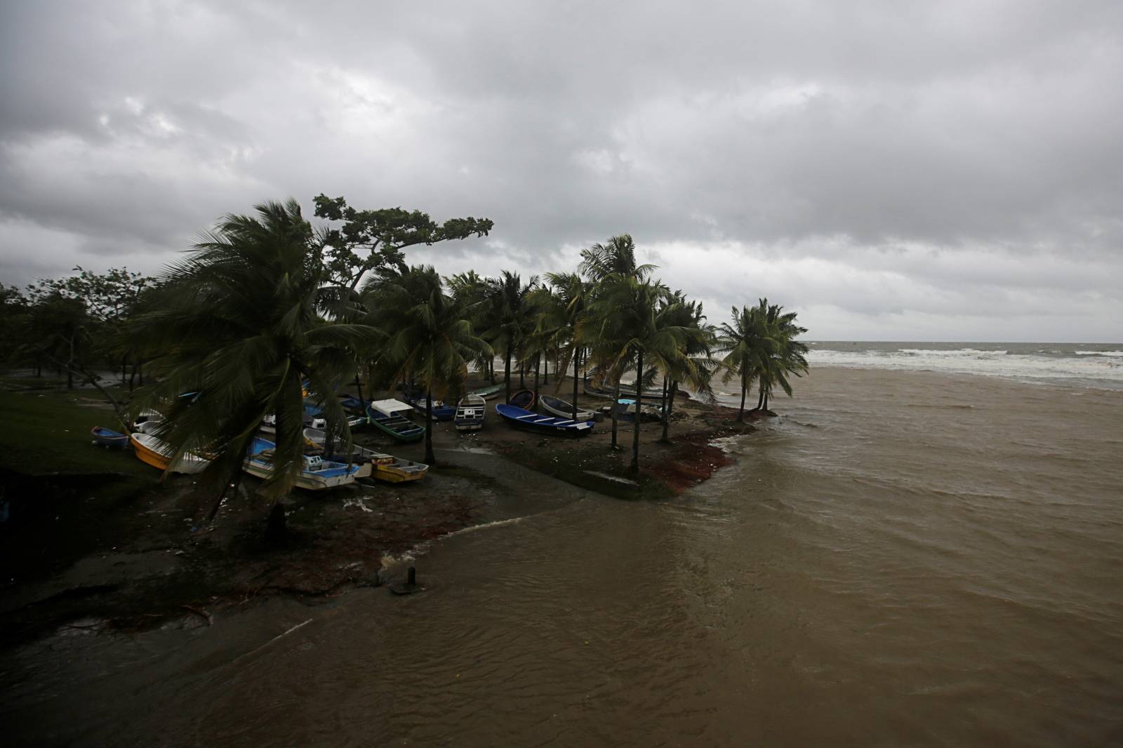 Boats put ashore by fishermen sit under palm trees swaying in the wind as Hurricane Eta passes through Tela