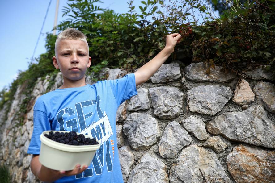 Ovo je dječak koji je rasplakao regiju: 'Ukrali su mu kupine, a on ide dalje još jači. Moj junak!'