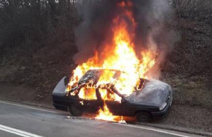 Auto s hrvatskim tablicama se zapalio: Vozač je živ izgorio...