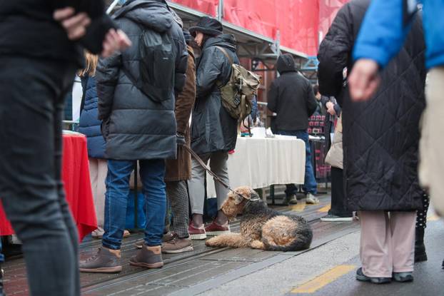 Zagreb: U Ilici je održan Q'Art festival