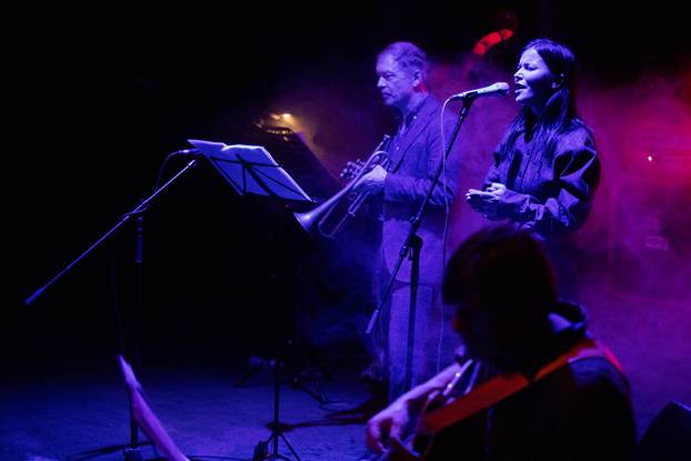 Zagreb: Koncert Vesne Pisarović u klubu Močvara