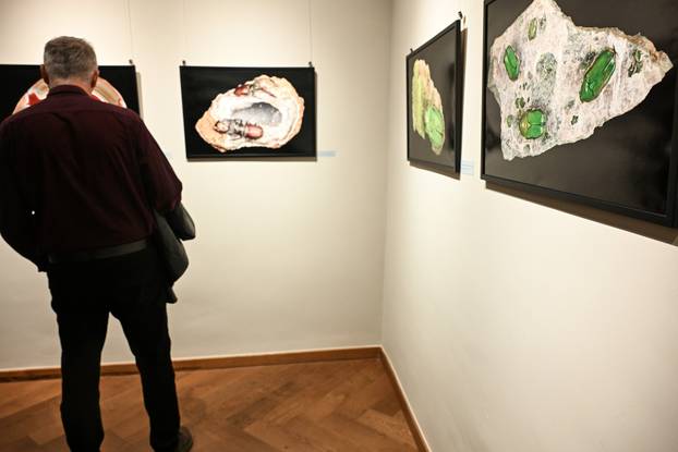 Zagreb: Otvorenje izložbe  Savršenstvo evolucije – Razotkrivanje