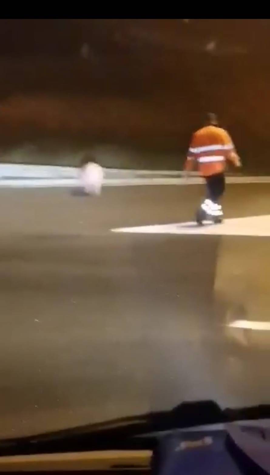 VIDEO 'Neću u špek i kobasice!' Svinja zbrisala iz prikolice kod Otočca, lovili je i radnici HAC-a