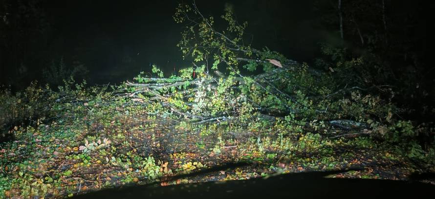 Strašno nevrijeme pogodilo je Zagreb, jak vjetar čupao stabla: 'Oštećeno je i nekoliko auta'