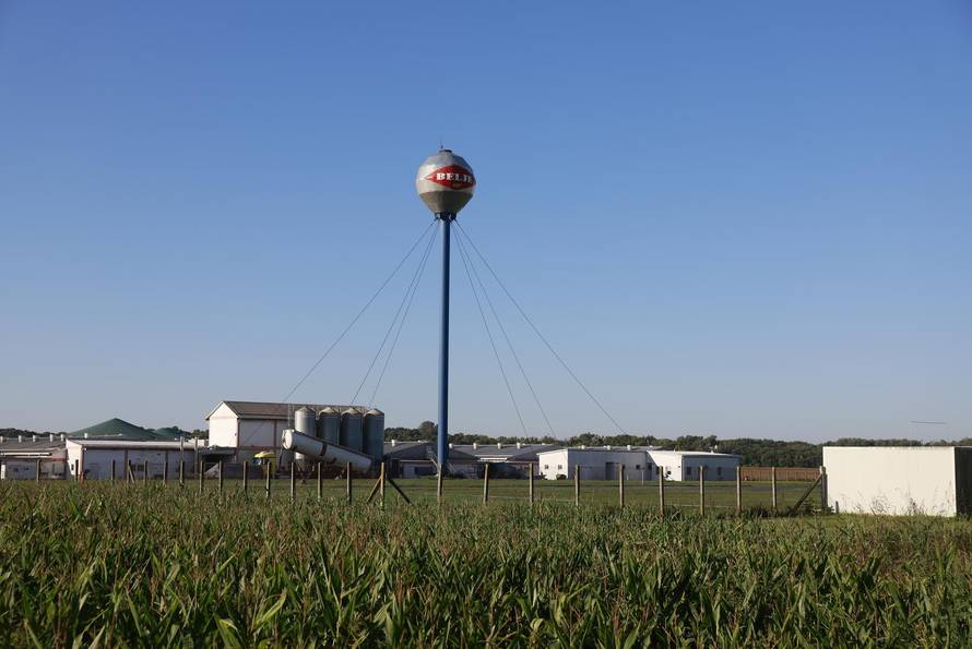 Sokolovac: Kreće eutanazija svinja, uvode se novi sigurnosni protokoli