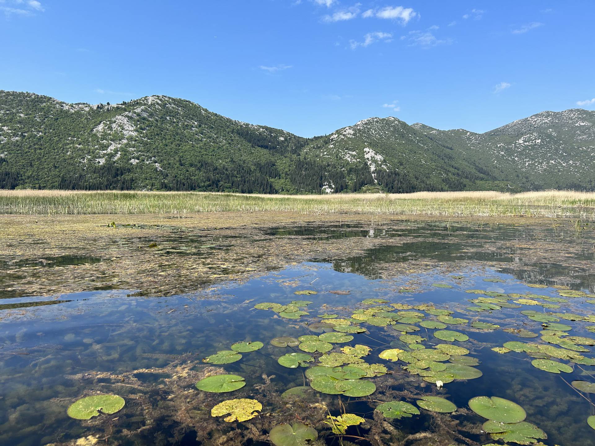 'Neretva je raj za ljubitelje ptica, zašto ne iskoristite taj ogroman turistički potencijal?'