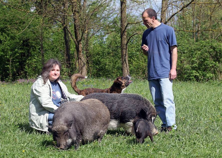 Željko Hladika/Pixsell