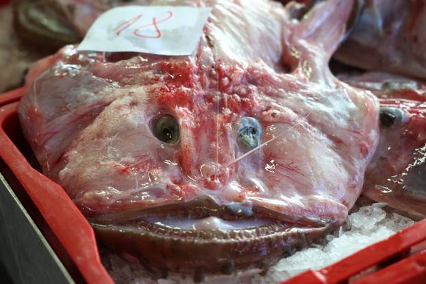 Šibenik: Ponuda ribe na korizmeni petak