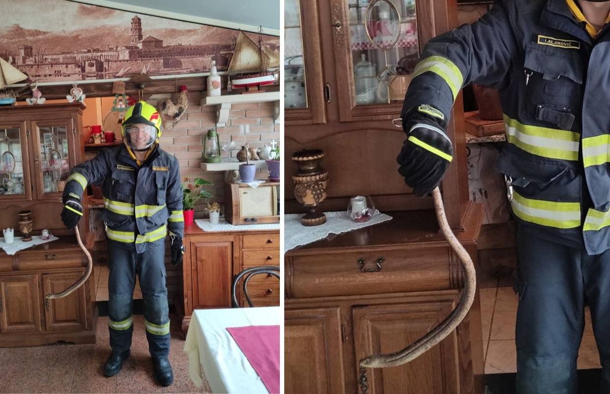 Zmija dogmizala do restorana u Splitu, u pomoć zvali vatrogasce
