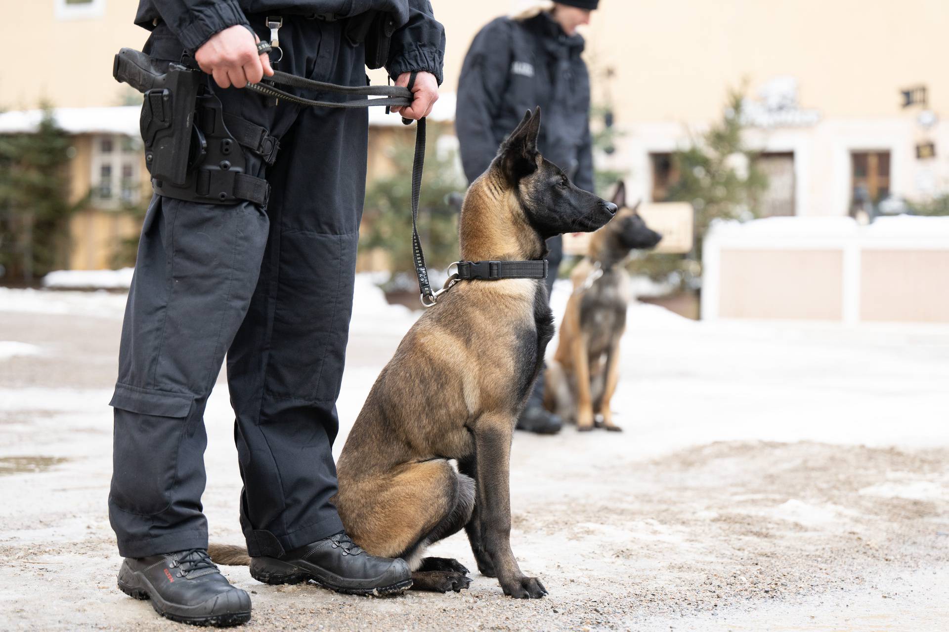 Service dog squadron fortress Königstein