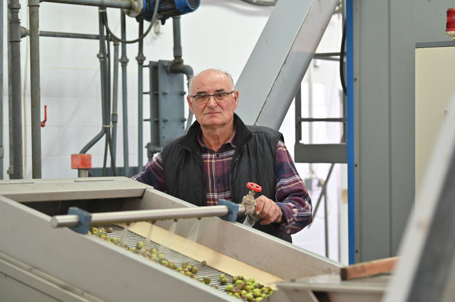 Proces proizvodnje maslinovog ulja u uljarskoj zadruzi Igrane