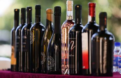 Vinari i enolozi očekuju dobru godinu, osobito kod crnih vina