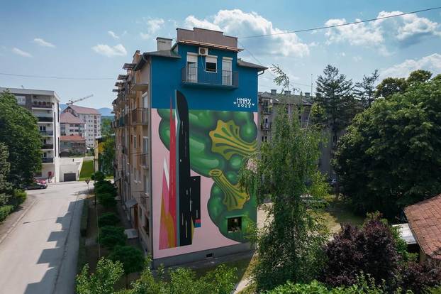 FOTO Grad pretvoren u galeriju: Pogledajte predivne murale na kućama i zgradama u Čačku