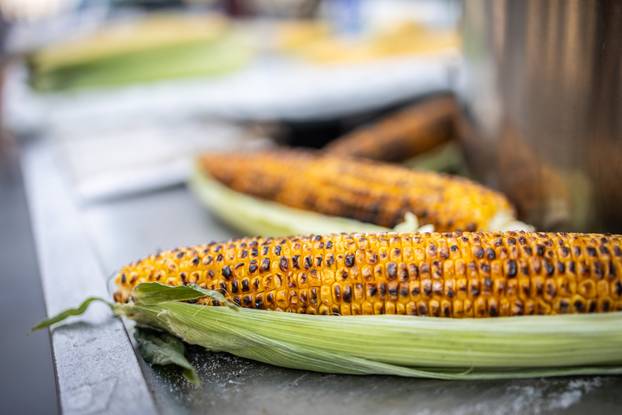 Zagreb: Ljeto u centru grada