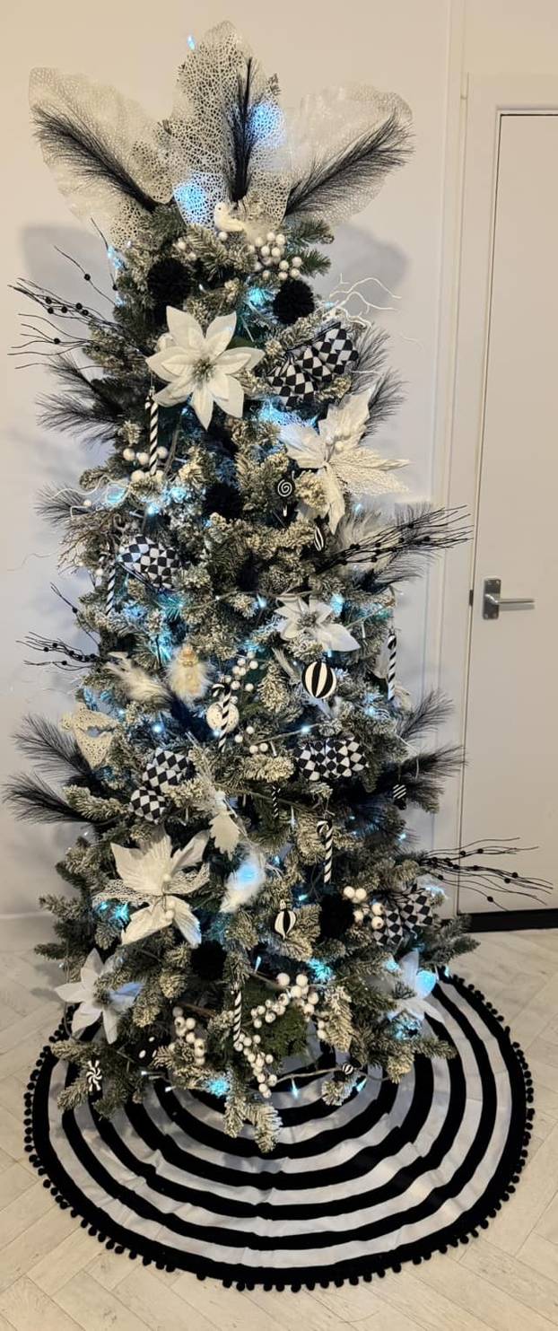 FOTO Ovakve borove još niste vidjeli! Okrenuti naopako, neki su haljine, a neki čak i mačke!