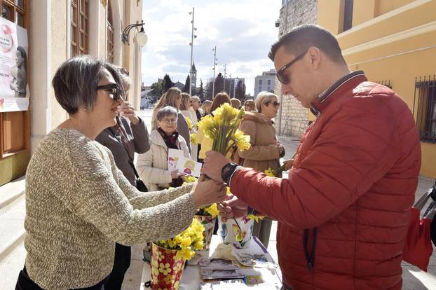 Šibenik: Liga protiv raka Šibenik obilježava Dan narcisa