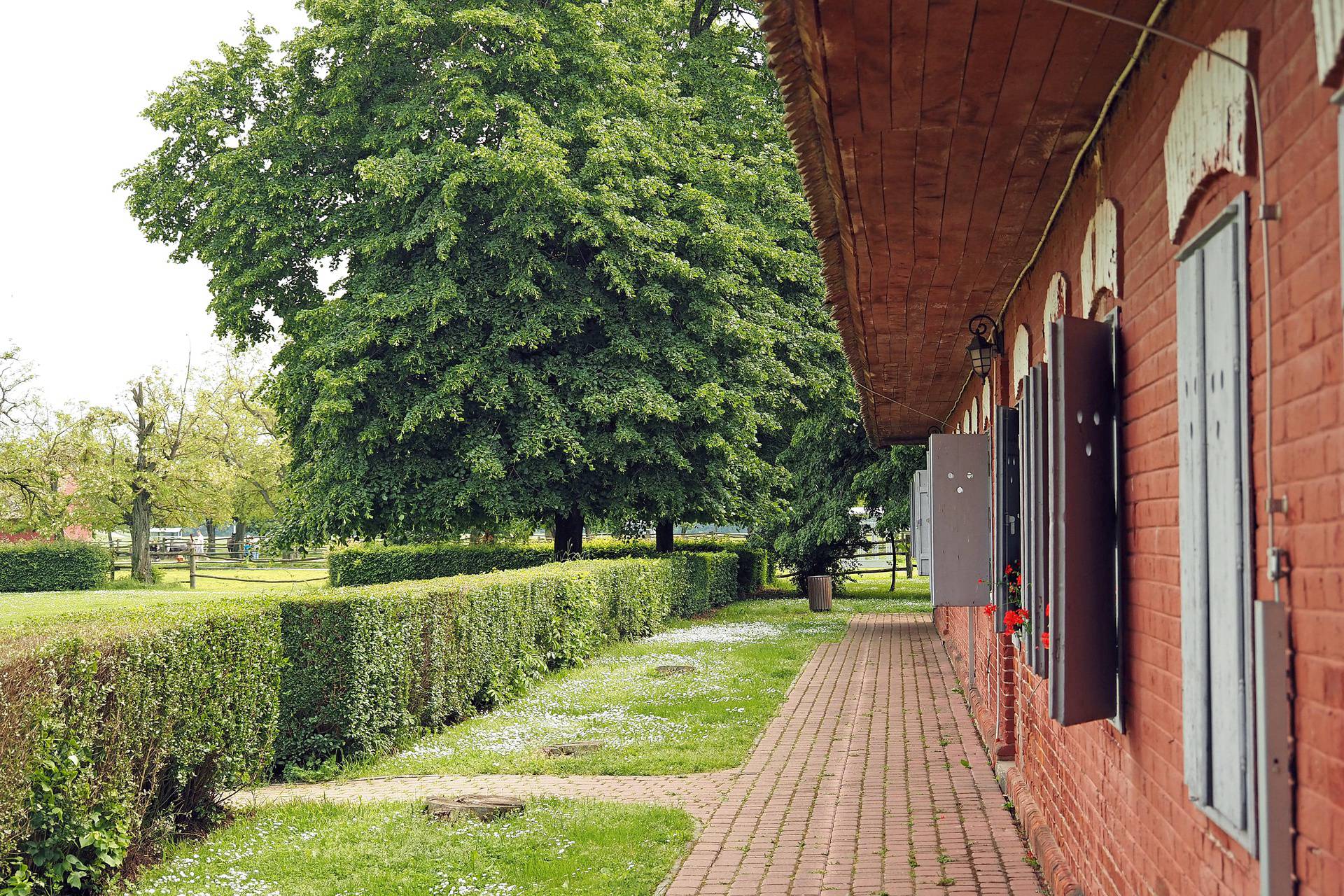 Đakovo: Upoznajte ovaj biser Slavonije i posjetite Đakovačke vezove početkom srpnja...