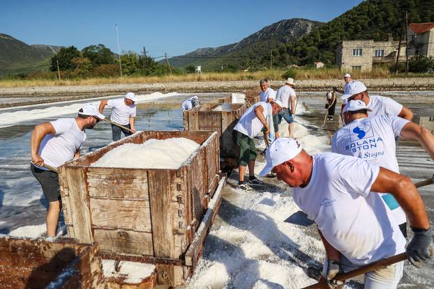 Berba soli u Stonskoj solani