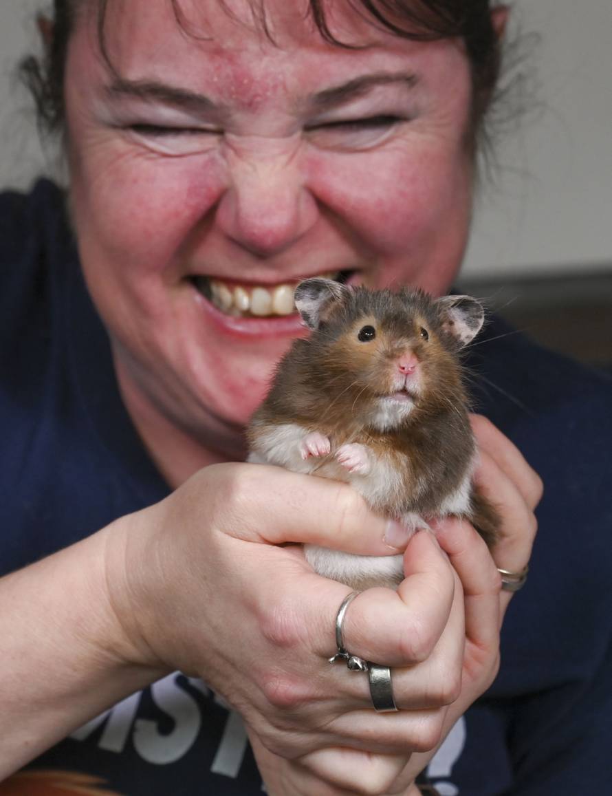 Spud the hamster