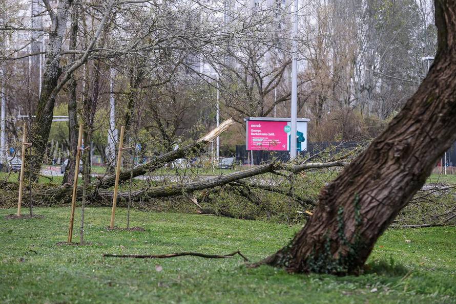 Zagreb: Olujno nevrijeme počupalo stabla na Bundeku 