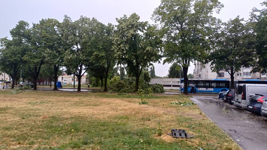 VIDEO Snimili megapijavicu kod Pule: 'Bila sam uzbuđena, tako veliku nikad nisam vidjela...'