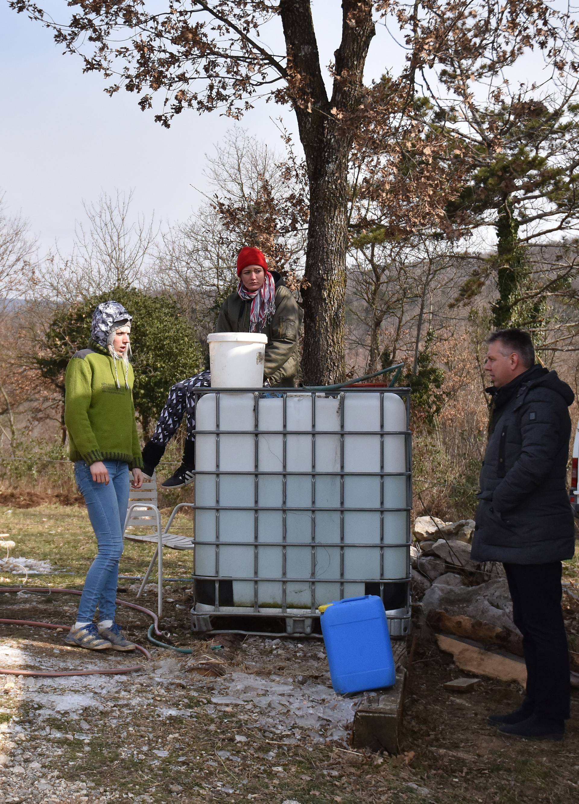 Vlasnica im poginula: 'Plačem kada vidim kako žive ovi konji'