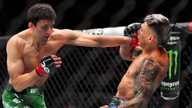 MMA: UFC 295 - Erceg vs Costa