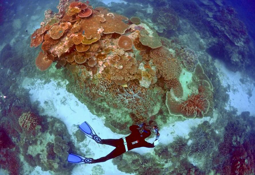 FILE PHOTO --  Oliver Lanyon takes photographs and notes during an inspection of the reef's condition in an area called the 'Coral Gardens' located at Lady Elliot Island