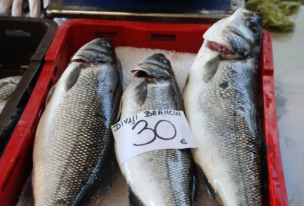 Šibenik: Ponuda ribe na šibenskoj ribarnici