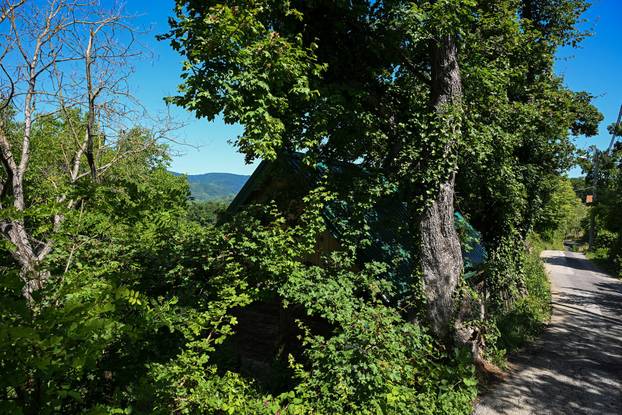 Zagreb: Klet Vladimire Palfi Sinčić