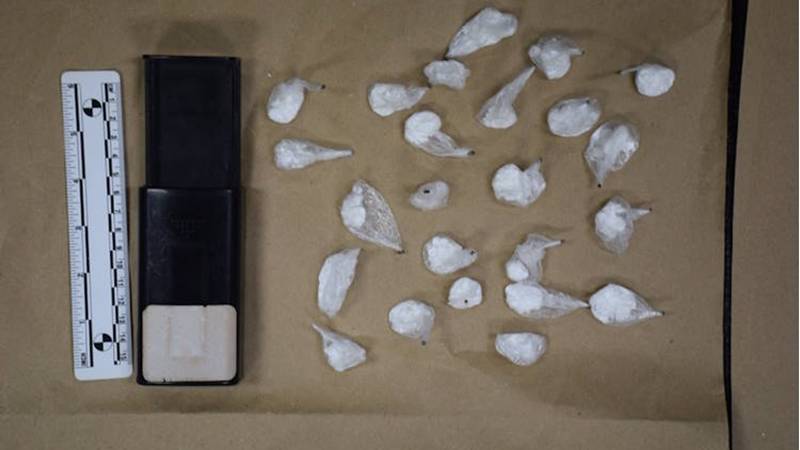 Diler u Zagrebu dobrovoljno predao 24 paketića kokaina: U stanu mu našli pištolj, novac...