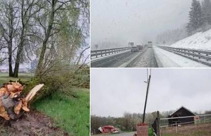 VIDEO Snažan vjetar u Osijeku rušio drveće, u Daruvaru ljuljao stup. U Gorskom kotaru snijeg