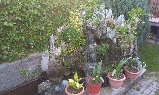 FOTO Najljepša dvorišta i kućni vrtovi - pronađite inspiraciju za vlastitu biljnu oazu