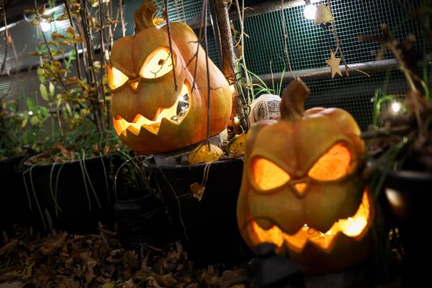 Zagreb: Najstrašnija noć u Muzeju zaboravljenih priča